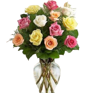 15 multi-colored roses | Flower Delivery Istra